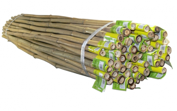 Pflanzstab Bambus 120 cm